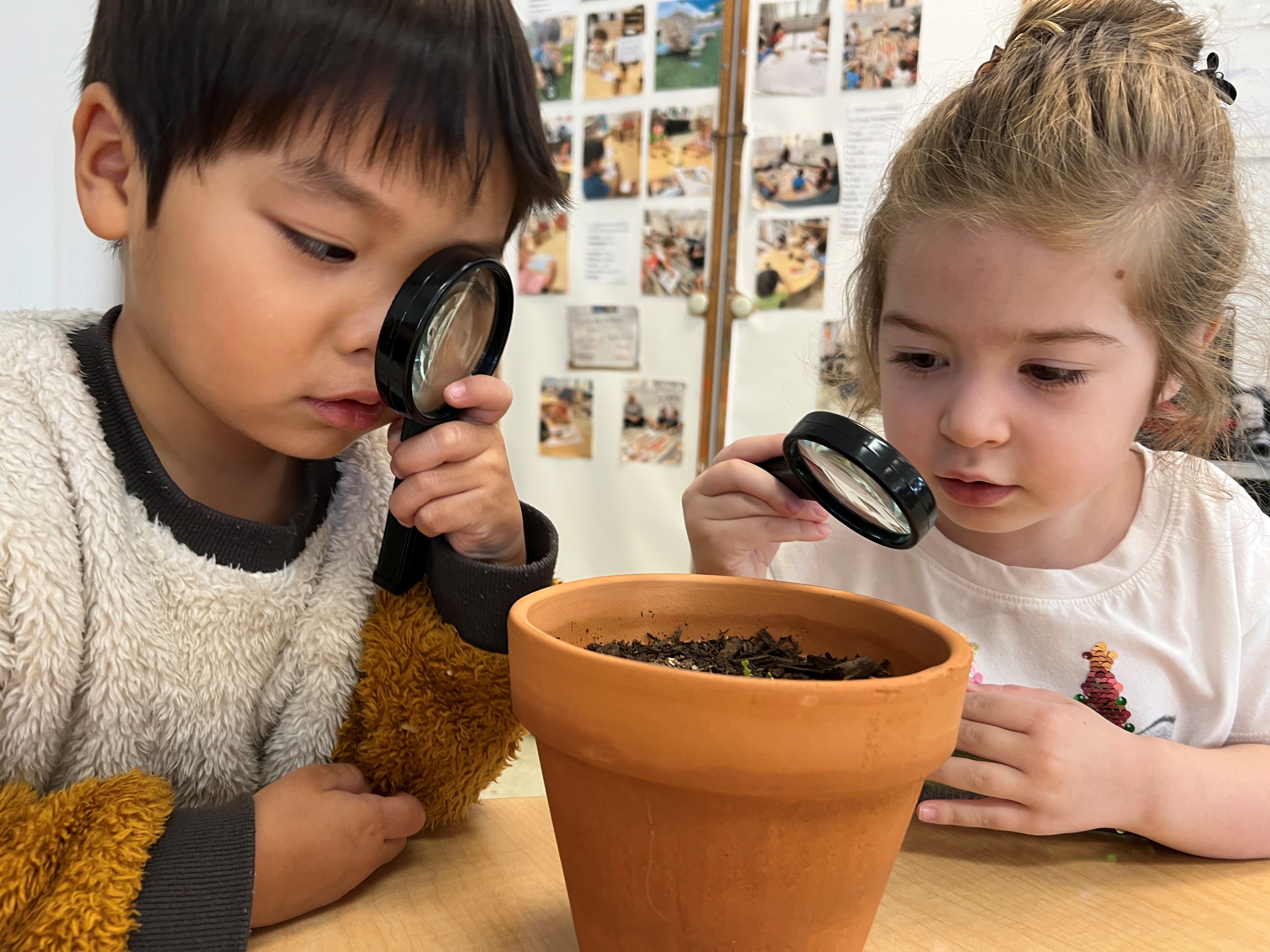 Preschool Science