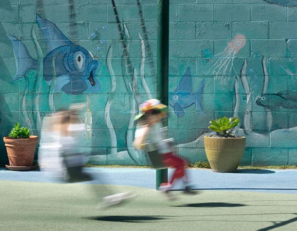 Preschool Swings